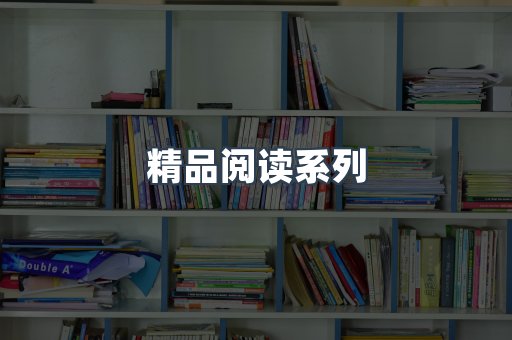 精品阅读系列